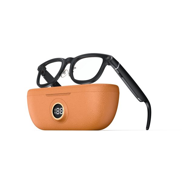 AI Intelligent Smart Glasses WG20